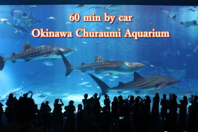 Mk Garden Villa Okinawa Dış mekan fotoğraf